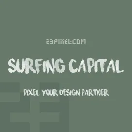 Surfing Capital
